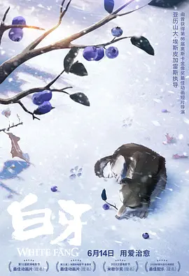 日韩第一区